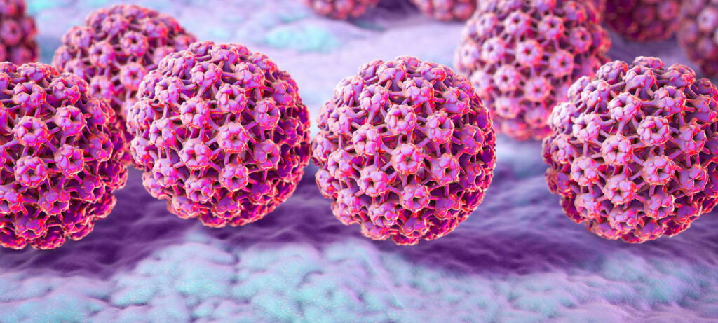 Rappresentazione grafica del virus HPV